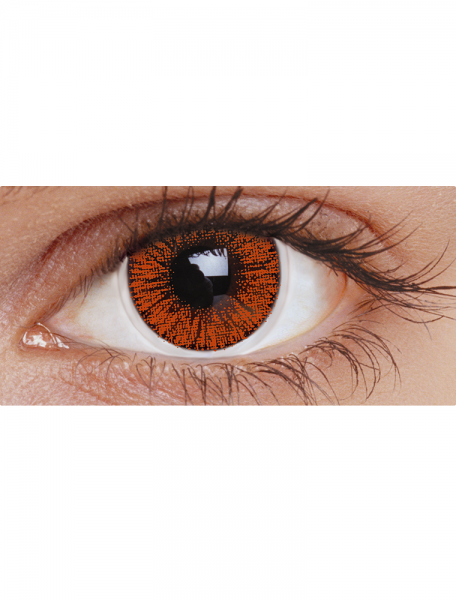 Hazel One Tone : 30-Day Contact lens