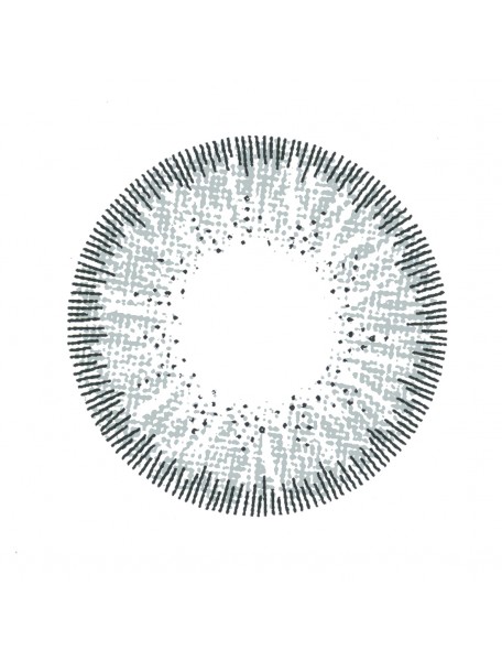 Grey Two Tone : 30-Day Contact lens