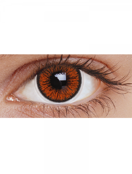 Hazel Two Tone : 30-Day Contact lens
