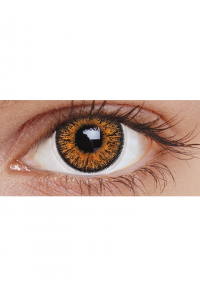 Brown Three Tone : Daily Contact lens